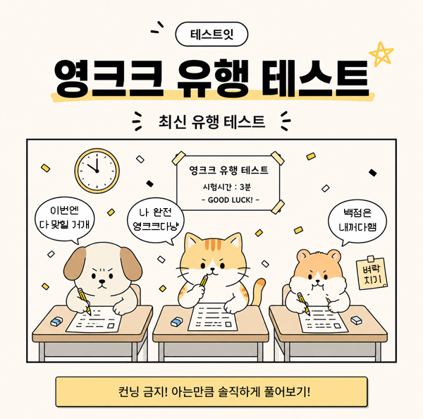 테스트잇 영크크 유행 테스트