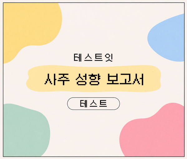 테스트잇 사주 성향 보고서 테스트