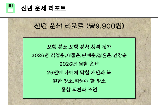 신년 운세 리포트