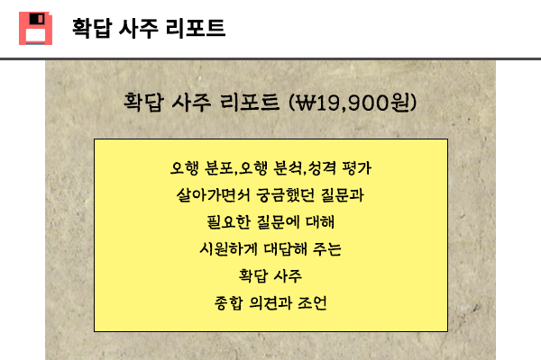 확답 사주 리포트